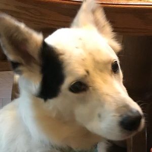 Meet your Posher, Carrie